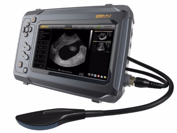 Ultrasound BMV S6​