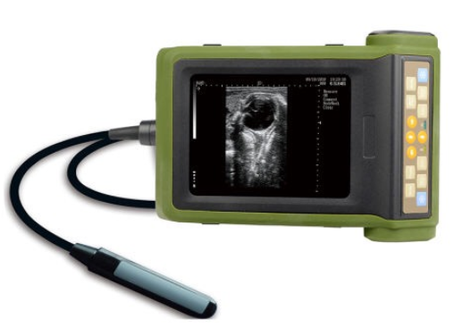 Field diagnostic ultrasound RKU - 10V